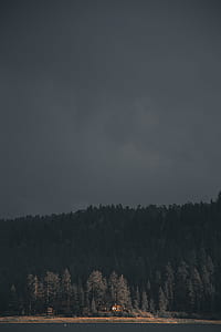 house in the middle of forestr thumbnail