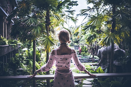 person, woman, flowers, garden thumbnail