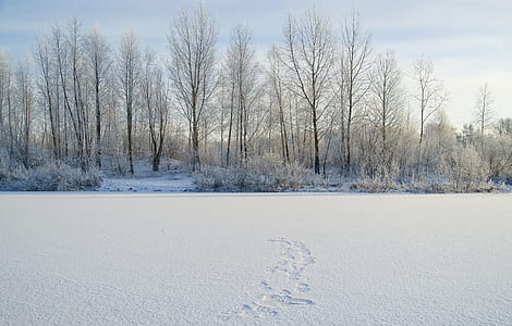 white snow during daytime thumbnail