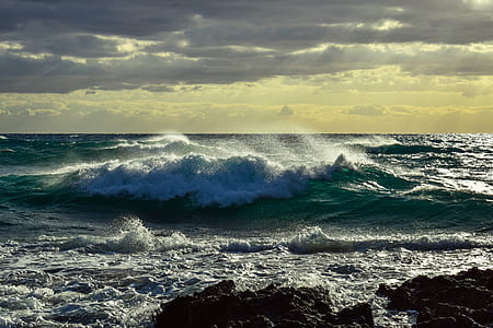 ocean wave during golden hour thumbnail
