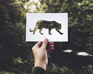 person holding animal drawing facing green grass thumbnail