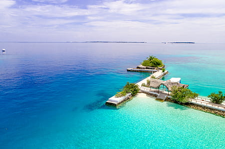 High Angle View Photo of White Dock With Trees on Seashore thumbnail