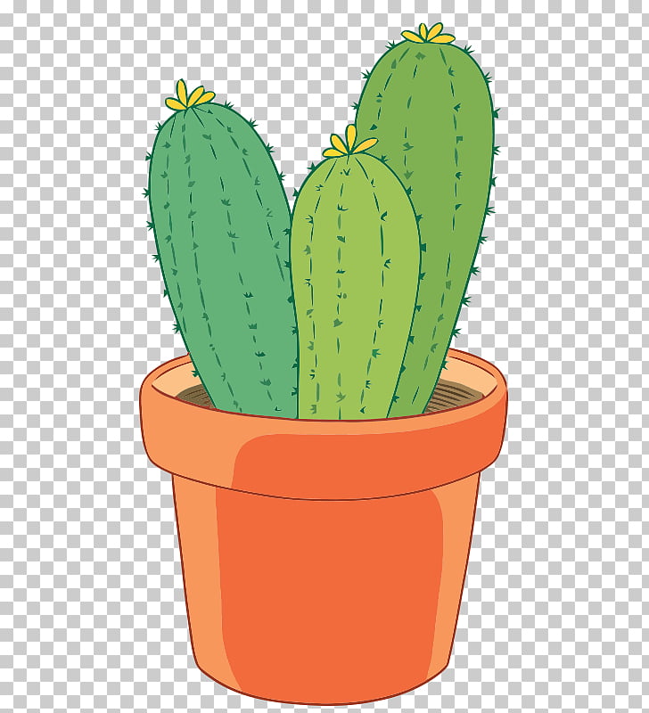 Cactaceae Plant Euclidean Potted Cactus Png Clipart Free Cliparts Uihere