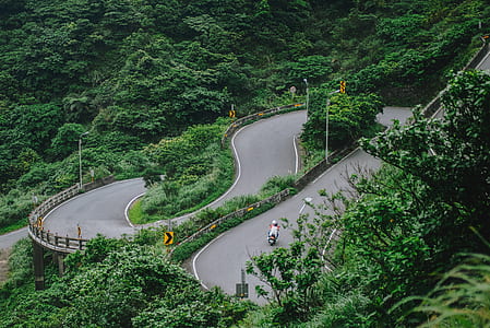 motorcycle travelling on concrete road surround by trees thumbnail