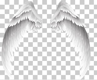 Angel , Pretty white angel wings, angel wings illustration PNG clipart