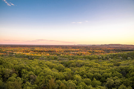 Dusk over the Forest at Levis Mound thumbnail