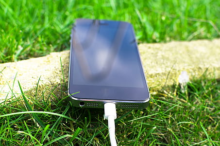 cable, grass, lawn, technology thumbnail