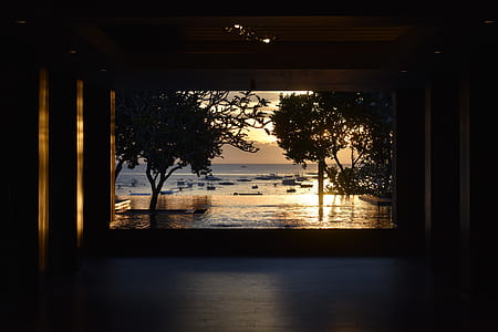 window with over-view of tress and body of water thumbnail