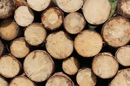 pile of logs thumbnail