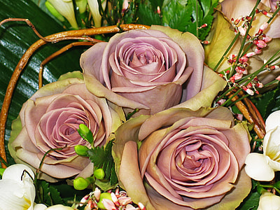 three brown roses thumbnail