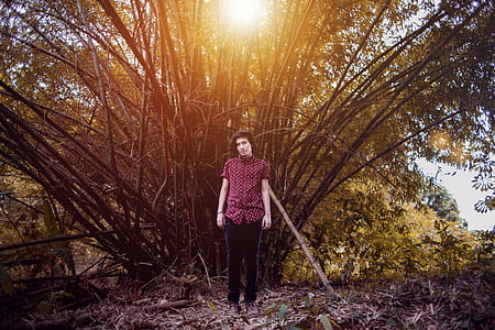 man, person, park, tree thumbnail