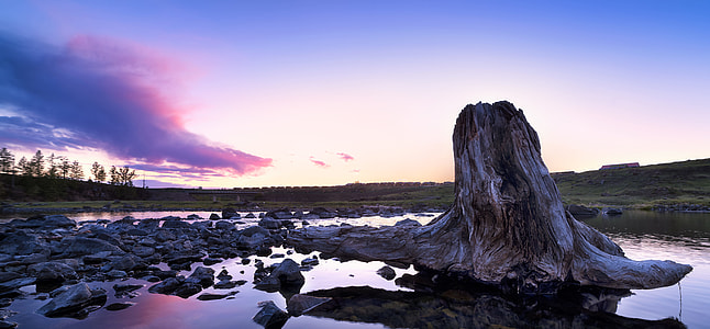 driftwood on body of water near gray stones thumbnail