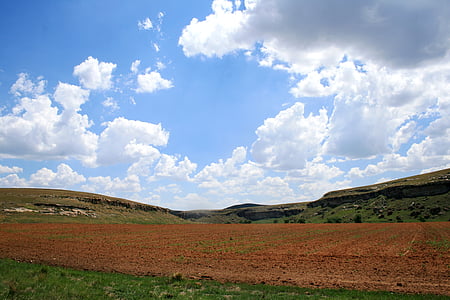 brown and green grass field under blue and gray skies thumbnail
