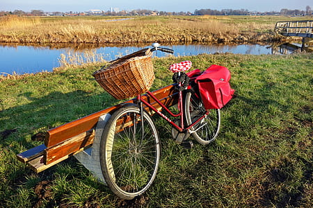 bicycle leaning on bench near body of water thumbnail