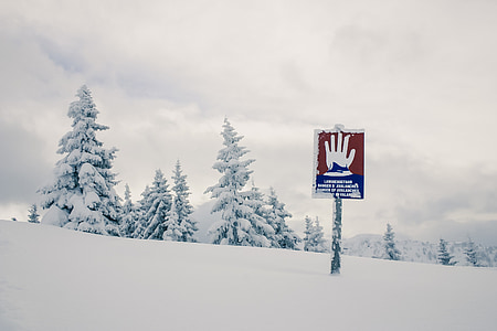 hand signage in snow field near of pine trees thumbnail