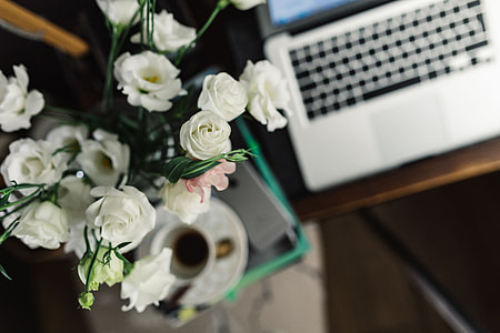 Woman working on laptop at home office thumbnail