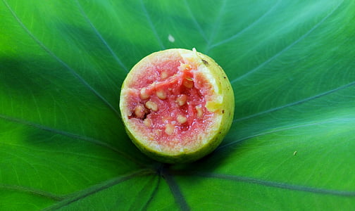 close-up photography of opened fruit thumbnail