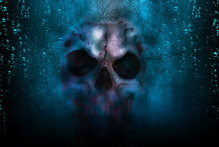 gray and blue skull illustration thumbnail