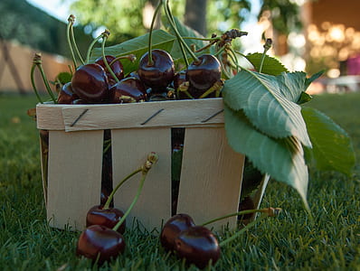 close-up photography of grape fruits on basket thumbnail