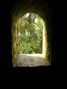 moss covered concrete tunnel thumbnail