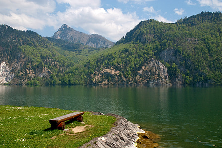 green leaf trees on mountain beside river during daytime thumbnail