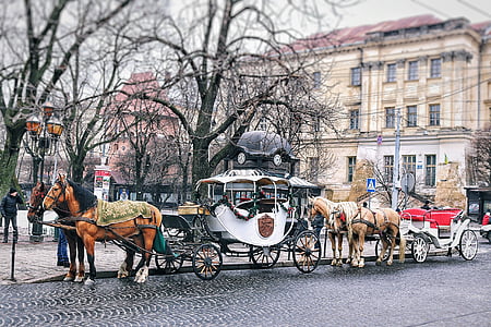 white carriage near building thumbnail