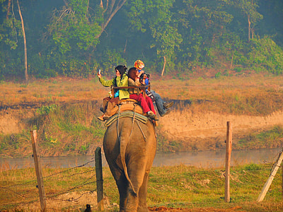 three person on elephant's back near river during daytime thumbnail