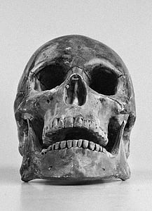 human skull thumbnail