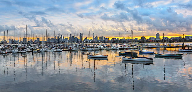 White Boats Near Dock thumbnail