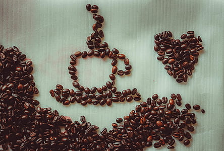 Closeup Photo of Coffee Beans thumbnail