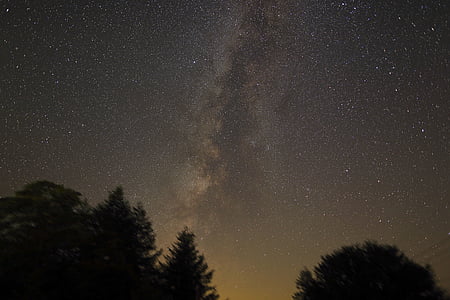 worms eye view of stars during sunset thumbnail