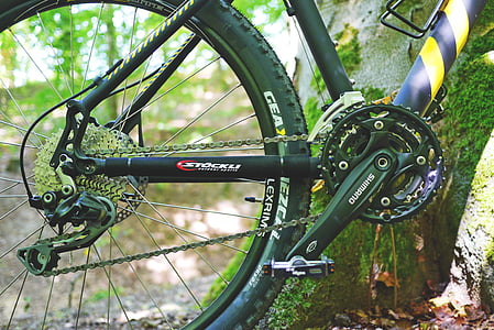 black mountain bike parking near tree thumbnail