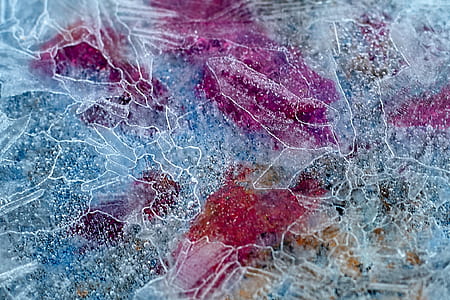 ice, water, pattern, purple thumbnail