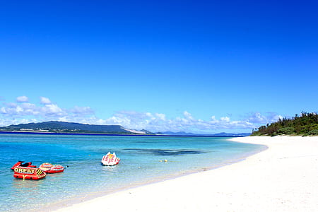 banana boat in beach near tall trees thumbnail