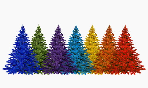 assorted Christmas trees thumbnail