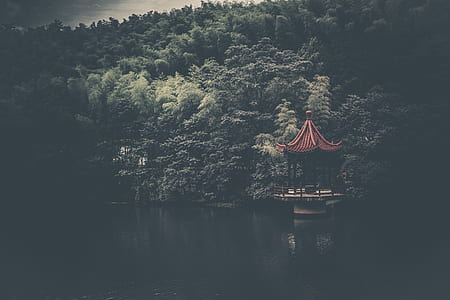 brown and black pagoda surrounded with trees thumbnail