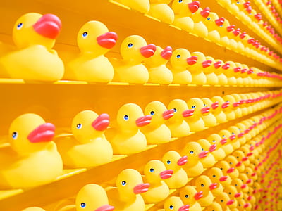 yellow-and-red rubber duck lot thumbnail