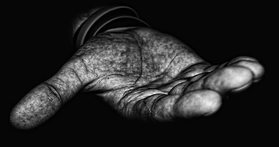 person showing right palm thumbnail