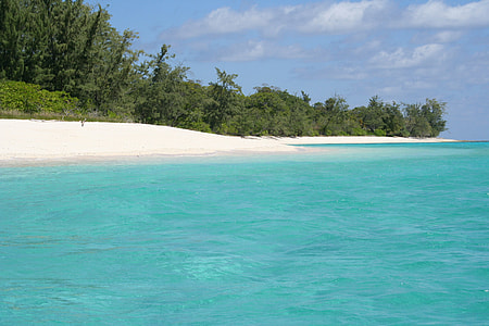 photograph of green ocean near shore thumbnail