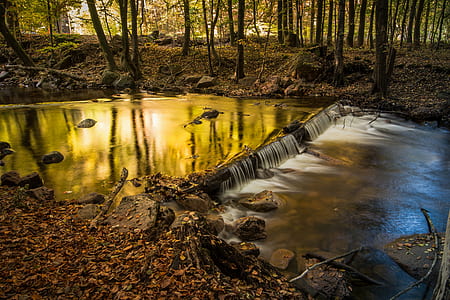 time lapse photography of water flowing near trees thumbnail