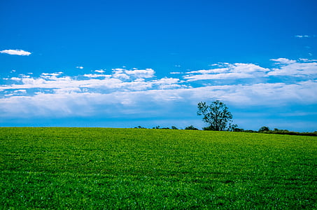 green grass field with clouds background thumbnail