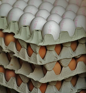 white and brown egg lot thumbnail