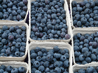 purple berries thumbnail