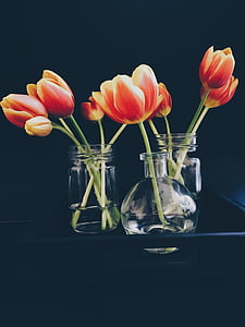 red and yellow flowers on clear vases thumbnail