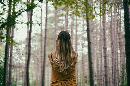 woman standing surrounded by trees at daytime thumbnail