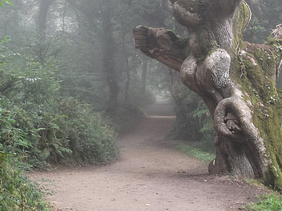 green tree and bush thumbnail