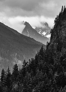 forest mountain thumbnail