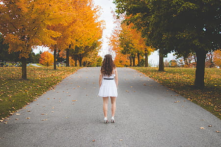woman standing in the middle of road surrounded by yellow trees thumbnail