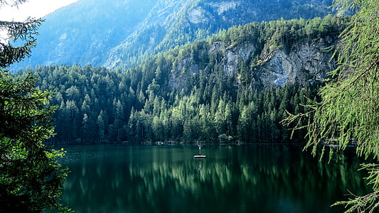 blue and green trees painting thumbnail
