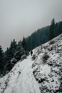 person standing on snow ground thumbnail